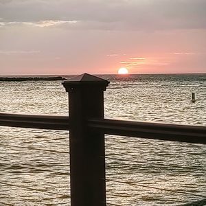 Meet your Posher, Robin